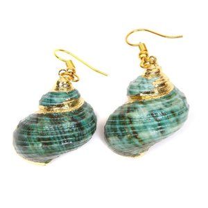 3x Boho Teal Natural Shell Gold Earrings
